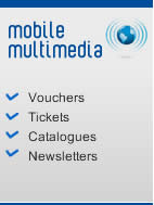 Mobile multimedia